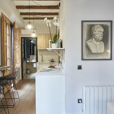 Ainb Gothic-jaume I Apartmán