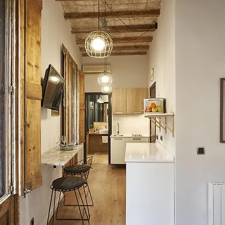 Ainb Gothic-jaume I Apartmán Barcelona